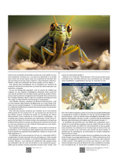 Geek Magazine n°42